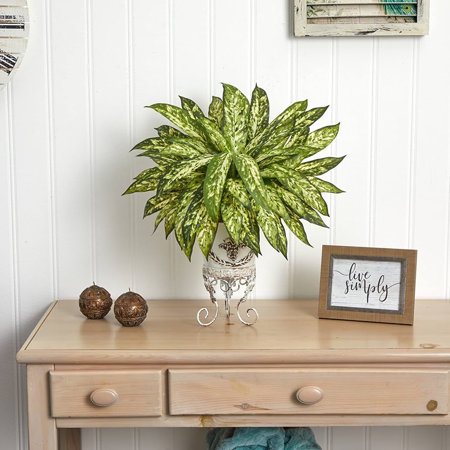 81O2+3Og1KL._AC_UF894,